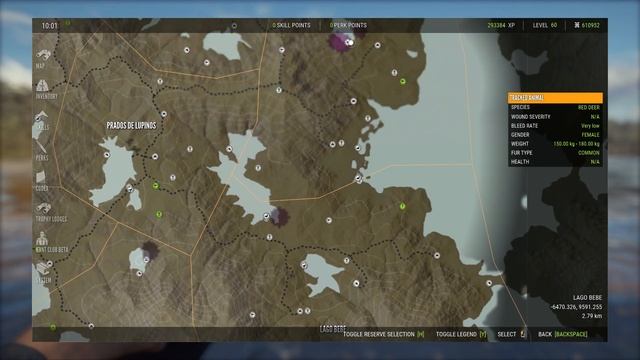 Parque Fernando Diamond Hotspot Maps | theHunter Call of the Wild смотреть онлайн