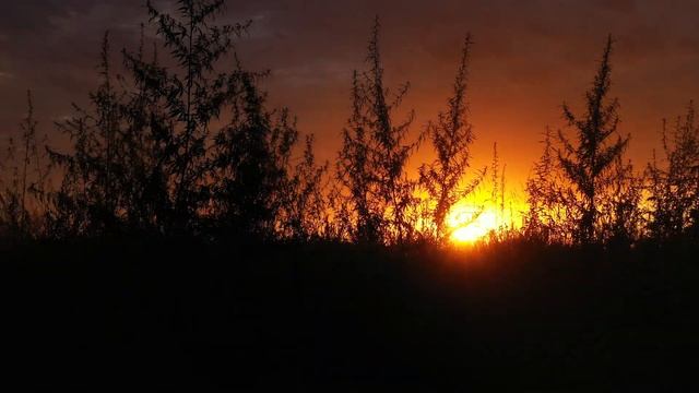 еще один летний день закончился смотреть онлайн