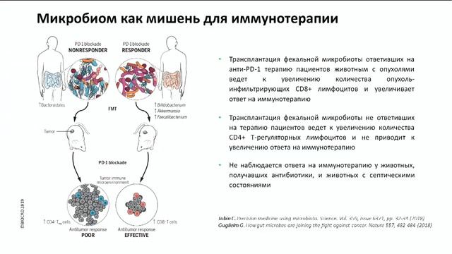 Микробиом: диагностический и терапевтический потенциал в иммуноонкологии смотреть онлайн