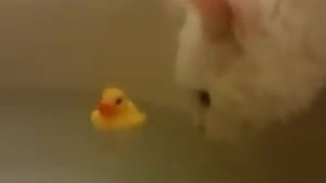 Водные процедуры смотреть онлайн