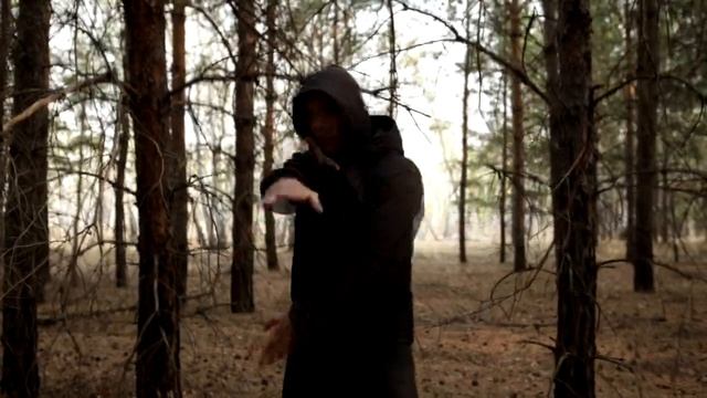 Техника Шоу Дао - круги купца и отшельника инь - базовая техника смотреть онлайн