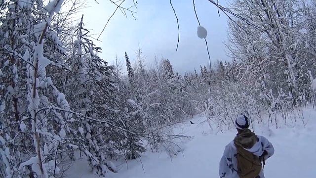 Охота на боровую дичь, ГЛУХАРЬ. смотреть онлайн