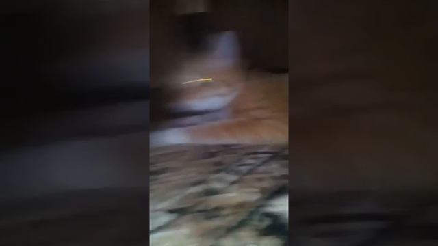 Соня разррушитель ,,коза" смотреть онлайн