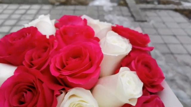 Букет из 21 Эквадорской розы смотреть онлайн