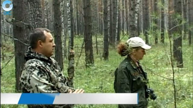 Специалисты департамента лесного хозяйства области побывали с проверкой в Сузунском бору смотреть онлайн