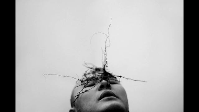 [FREE] МАСЛО ЧЕРНОГО ТМИНА x ВЫШЕЛ ПОКУРИТЬ TYPE BEAT "BEEF" vi6emint prod. смотреть онлайн