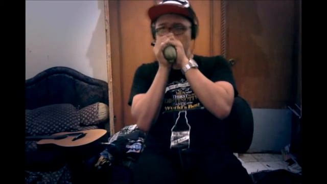 Shure 520DX with Harmonica смотреть онлайн