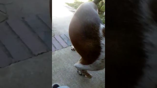 Very tired Dosan смотреть онлайн