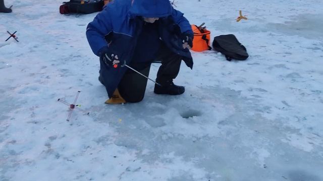 14.01.23 КРХ Белая Дача ,запуск форели 183 кг.! смотреть онлайн