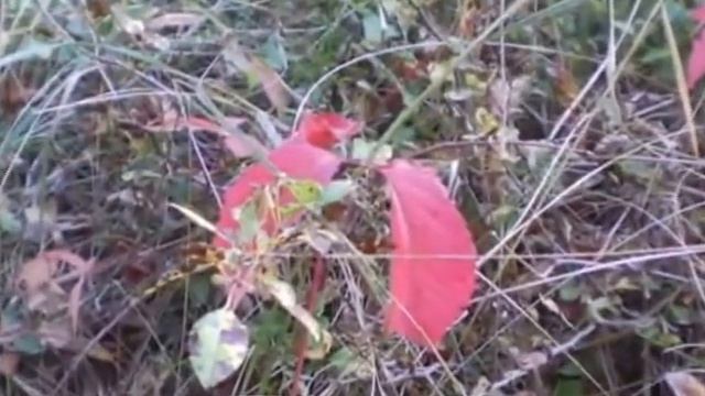Картинки дня осеннего равноденствия смотреть онлайн