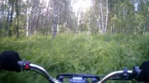 По лесу на минибайках