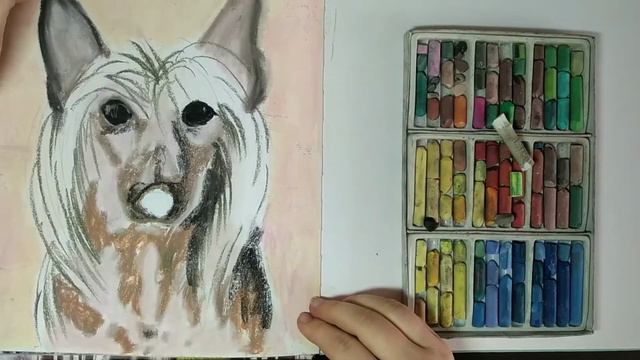 РИСУЮ КИТАЙСКУЮ ХОХЛАТУЮ СУХОЙ ПАСТЕЛЬЮ. ПРАЗДНИЧНОЕ ВИДЕО. смотреть онлайн