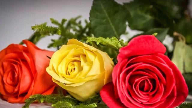 Эту музыку можно слушать вечно! Божественная музыка трогает душу! Лучшая музыка Сергей Грищук! #4 смотреть онлайн