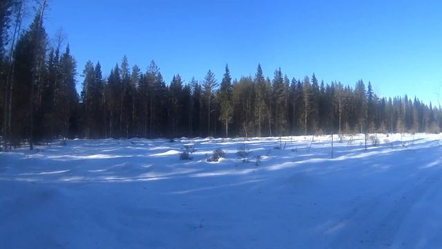 LYNX Adventure LX 600 смотреть онлайн