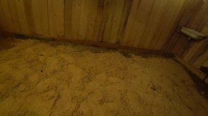 ДЕННИК ДЛЯ ЛОШАДИ