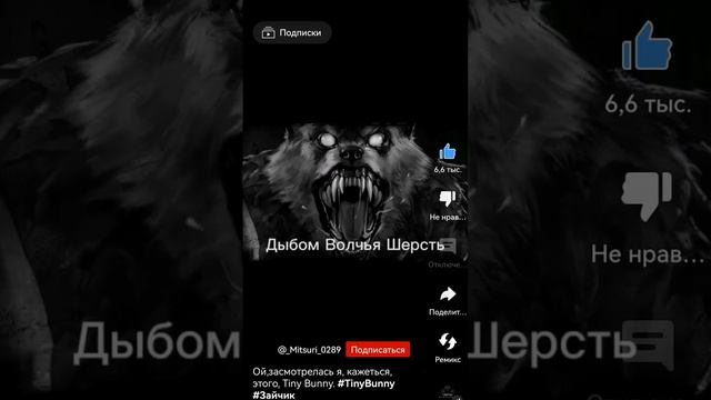 Раз два приедет сова 3 4 5 время ты да шесть дыбом Волчья зайчик выходи скорей мясо на корми звер смотреть онлайн
