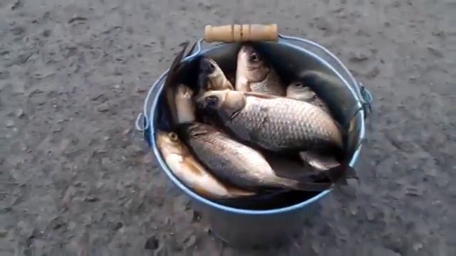 Самый крупный улов. смотреть онлайн