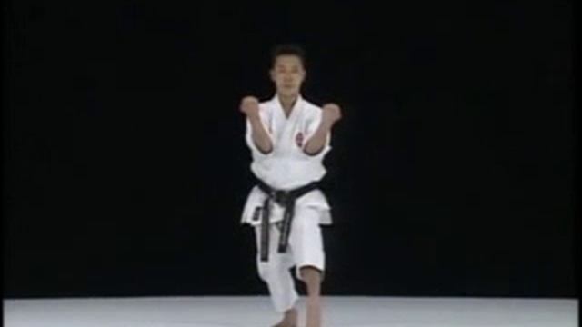 Jion Shito Ryu Karate Do Kata & Bunkai смотреть онлайн