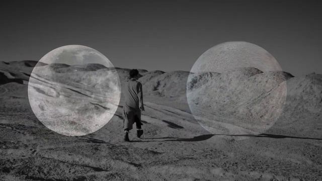 'Wandering The Wasteland' By John Haydock.