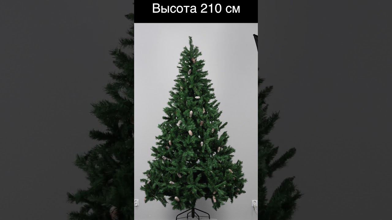 Ель "Зеленая с шишками" 210см смотреть онлайн