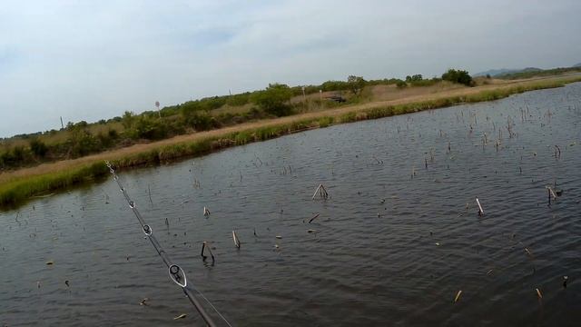 Змееголов весной 2019 смотреть онлайн