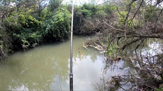 ДУБАСИМ КАРАСЕЙ на МИКРО РЕЧКЕ | РЫБАЛКА УДОЧКОЙ на ПОПЛАВОК смотреть онлайн