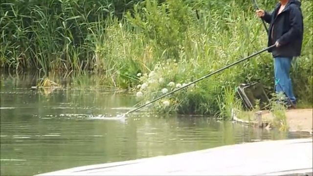 Платная рыбалка в Пирогово-Коргашино смотреть онлайн