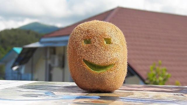 С ДНЕМ РОЖДЕНЬЯ  НАТАША от Киви