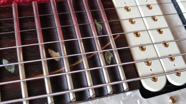 Ibanez Jem 7V7 Unboxing! #newguitar #ibanez #ibanezrg смотреть онлайн