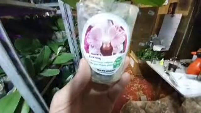 ИТОГ РАСПАКОВКИ 2 ДЕНЬ смотреть онлайн