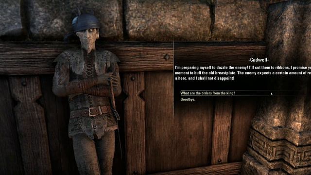 Daggerfall Covenant Part 41: The Citadel Must Fall | The Elder Scrolls Online - Red Guard Warden смотреть онлайн