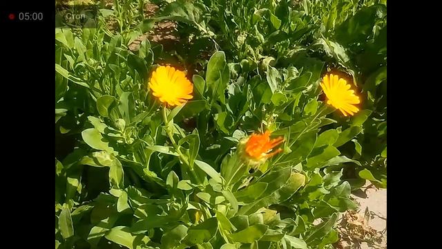 ПРОВАЛ ОБЕСПЕЧЕН, УЖЕ НАБЛЮДАЙТЕ, ЗАТРЯСЛО 28. 08.2023 г. смотреть онлайн