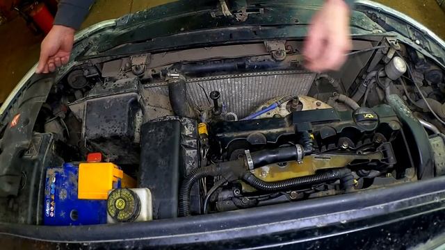 Чистота с улыбкой и теплотой