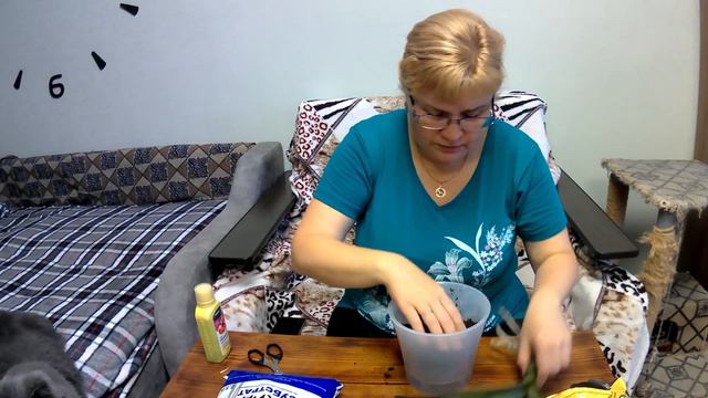 Сегодня пересаживаю орхидеи.... смотреть онлайн