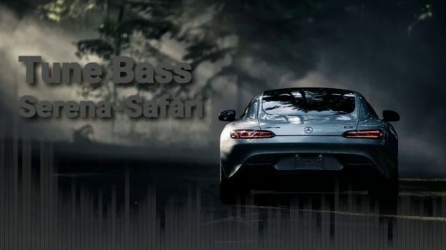 Serena Safari (bass) BY @Tune Bass смотреть онлайн