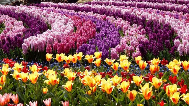 Дотянуться до Небес, аудиокнига - размышление, увлекательно. смотреть онлайн