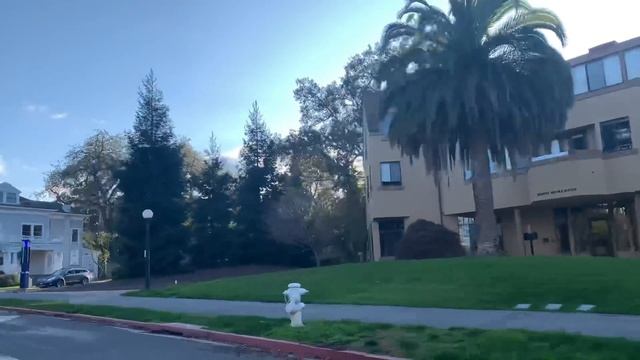 Сан-Франциско. День 3. В гостях у Михаила Портнова, Кремниевая Долина, дом Стива Джобса смотреть онлайн