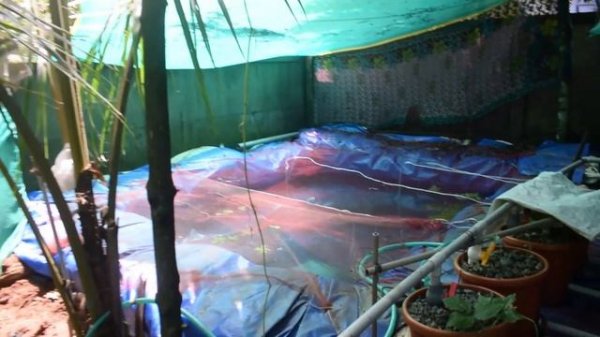 Unboxing#Hailea aco 328 air compressor#Review&performance#Malayalam#Tarpaulin fish pond#Air pump