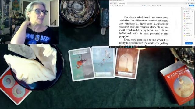 Unboxing: Wisdom of the Oracle Divination Cards смотреть онлайн