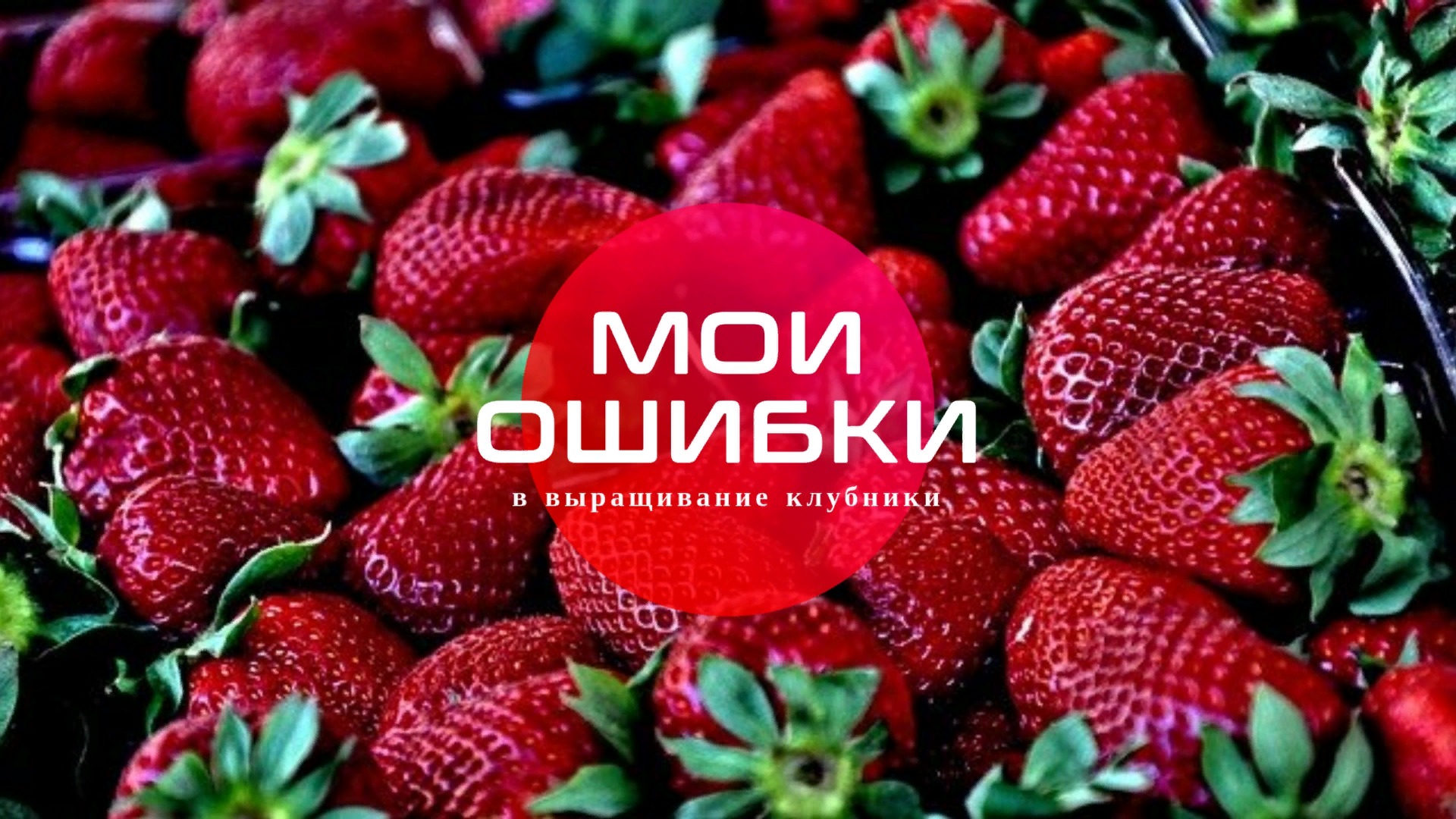 Не повторяйте мои ошибки в выращивание клубники. Исправили старые и наделали новых. Будем исправлять смотреть онлайн