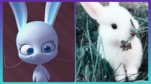 Miraculous kwamis in real life | Квами в реальной жизни ?