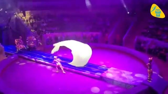 Надувная акробатическая дорожка в цирке. Производство TimeTrial AIR смотреть онлайн