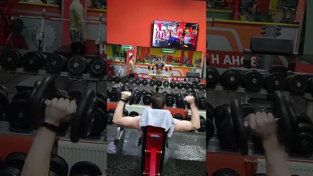 Средние дельты плеч смотреть онлайн
