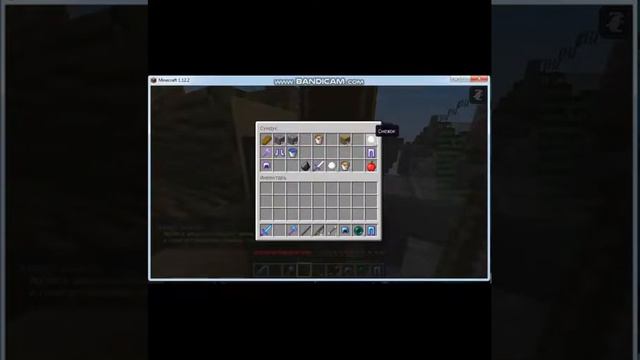 играем на сервере Rubix с другом