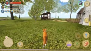 Симулятор КОТА и КОШКИ #1 Начало. Охочусь на мышей. Кид и Новый Сим про котика на пурумчата