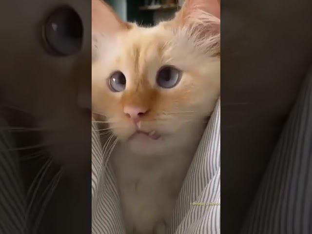 вы трезвый смотреть онлайн