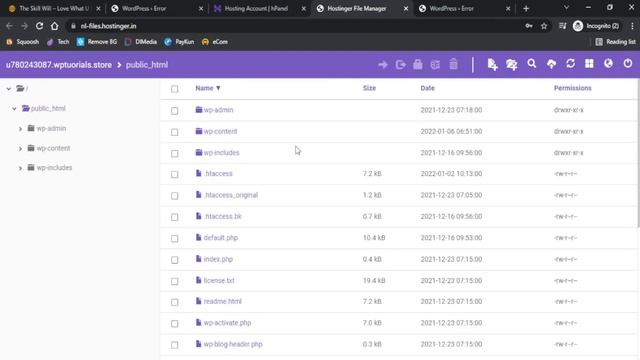 There Has Been A Critical Error On Your Website | Causes And Fix 2022 смотреть онлайн