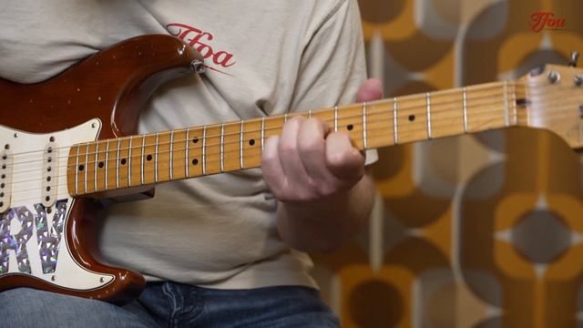 Fender Dennis Galuszka SRV Tribute Lenny Stratocaster CS 2004 played by Tom Punt | Demo смотреть онлайн