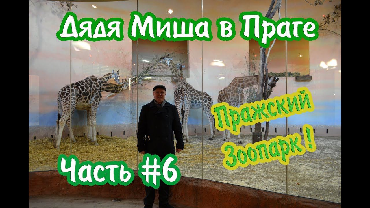 Прага#6 "Зоопарк" | Prague#6 "Zoo" смотреть онлайн