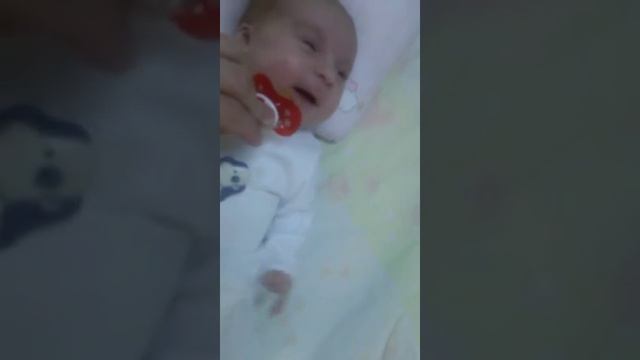 Маленькая чайка! смотреть онлайн